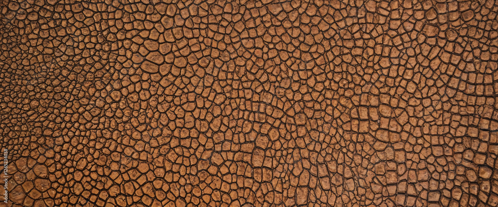 Poster aerial view of crocodile skin pattern. the contrast between the circles and lines of the crocodile s