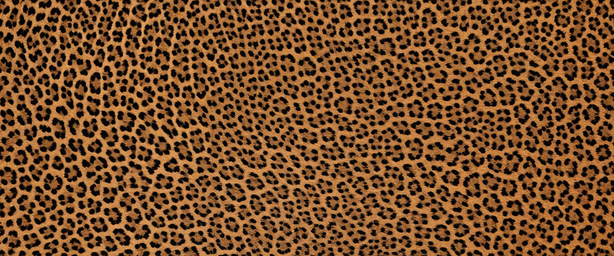 Aerial view of  leopard skin pattern, the contrast between the leopards circles and lines below creates a mesmerizing visual effect, great optical art, minimalistic