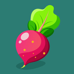 vibrant radish with peppery bite