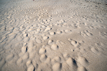 Top view of Fine sand texture natural background Summer and travel background, High quality nature beach background