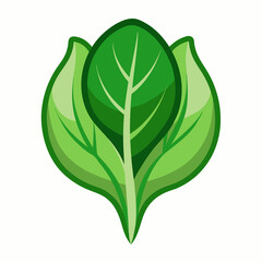 tender spinach with smooth curves 