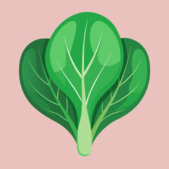 tender spinach with smooth curves 