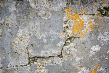 Textured concrete wall with visible seams. AI generated