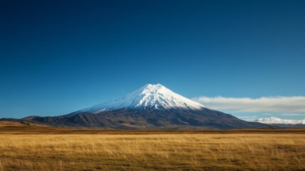 Obraz premium Snow-capped volcano landscape, autumn field, clear sky, travel postcard