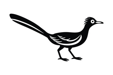  vector illustration of a roadrunner bird 