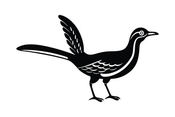  vector illustration of a roadrunner bird 