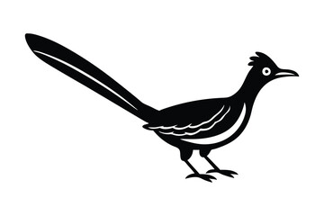  vector illustration of a roadrunner bird 