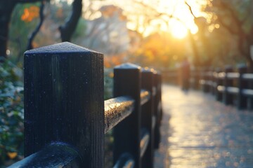 Park pathway with a wooden fence glowing in golden sunlight