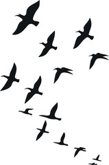 Minimalistic Black Silhouette of Multiple Birds Flying in a Coordinated Formation Symbolizing Freedom, Peace, and Unity – Elegant and Aesthetic Vector Illustration Perfect for Nature, Wildlife, and En