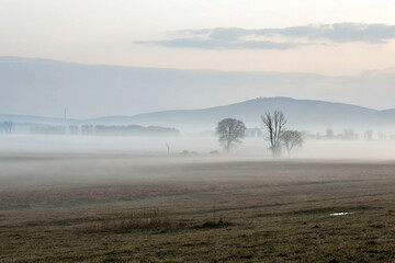 Foggy plain with minimal detail