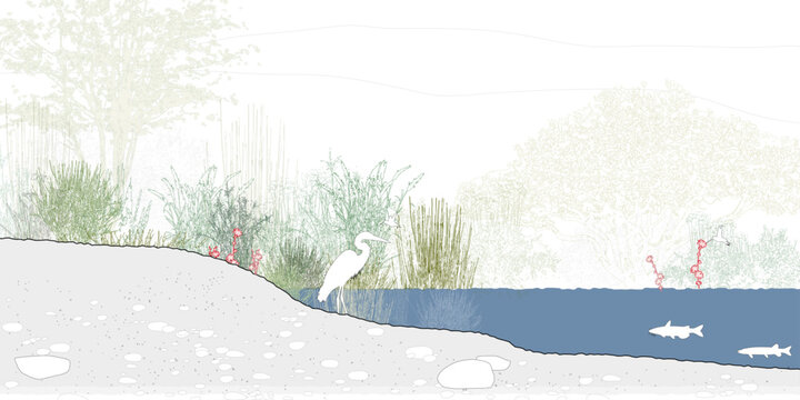 Minimal style cad tree line drawing, Side view, set of section wetland forest 