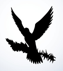 Vector drawing. Dove on the thorn branch