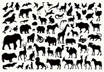 Many animals icons. Vector drawing