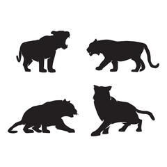 Black and White Silhouettes of Wild Tigers