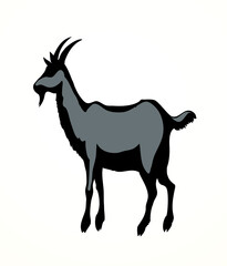 Big white goat. Vector animal