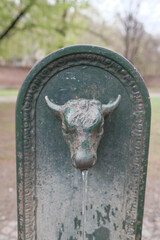 Vintage Drinking Fountain with Bull Head