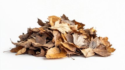 Pile of Autumn Leaves on White Background. Potential Use Stock Photo