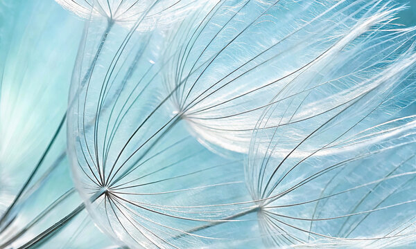 Light blue abstract background with dandelion flower seeds, close-up with soft focus, beautiful details and texture of nature. - Powered by Adobe