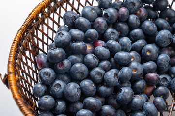 Blueberry antioxidant organic superfood forest berry