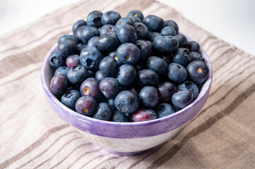 Blueberry antioxidant organic superfood forest berry