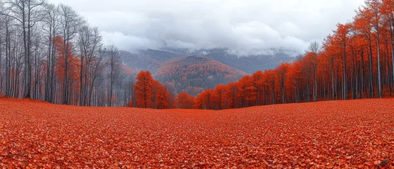 Foto op Canvas Autumn forest landscape with colorful foliage © Supriyati Pixxel