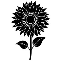 sunflower Silhouette vector on white background 