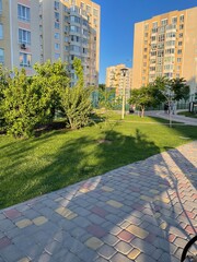 Obraz premium park in the city