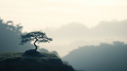 Lone tree on misty mountaintop, peaceful sunrise; nature, serenity