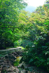 Fototapeta premium 角神不動滝（新潟県）