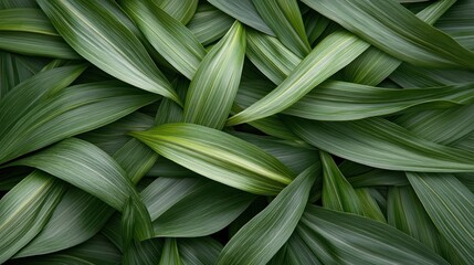 Immerse yourself in the calming embrace of nature with our stunning Green leaves background Nature-inspired eco-friendly digital wallpaper This verdant backdrop brings the tranquility of the outdoors