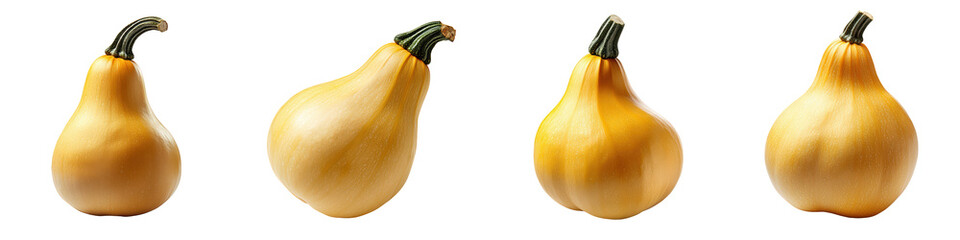 Fresh Yellow Squash Varieties, isolated on transparent background.