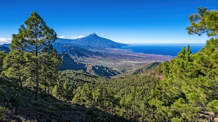 Fototapeta premium Volcanic island panorama, pine forest hike
