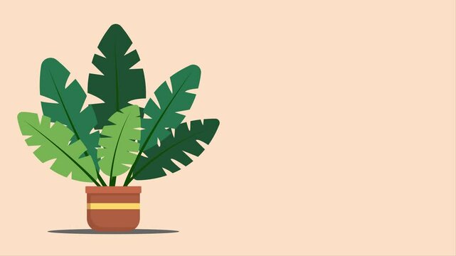 2d animation about green plant with brown pot waving. It suitable for video footage or presentation about nature, plant, go green, earth day, etc 