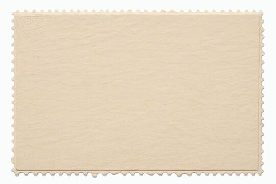 a close up of a piece of paper with a scallop edge