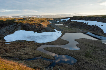 Fototapeta premium A small stream flowing through natural meadow in a small valley in the fells. Varangerhalvøya National Park, Northern Norway