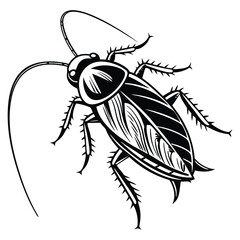 Intricate black and white cockroach illustration with detailed line work, ideal for scientific or educational purposes.