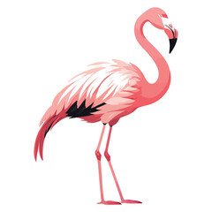 A full shot of a pink flamingo, rendered in a flat, graphic style.
