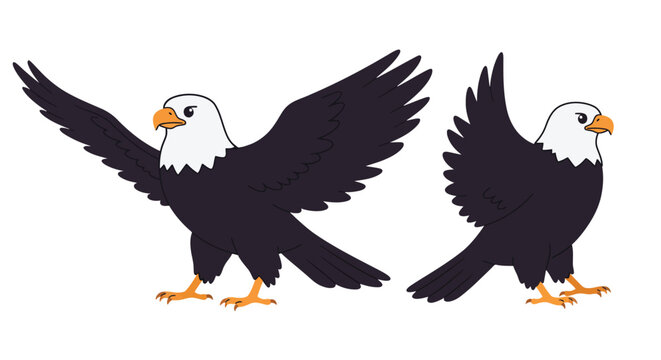 Bald eagle in dynamic pose flat vector illustration showcasing wing movements and detailed features