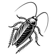 Intricate line art of a cockroach showcasing its body structure and antennae, perfect for biology textbooks or entomological research presentations.
