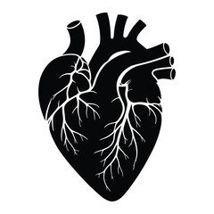 A stylized, detailed black and white graphic illustration of a human heart.