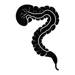 A simple, black and white, graphic illustration of the human digestive system.