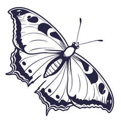 creative silhouette butterfly icon vector illustration
