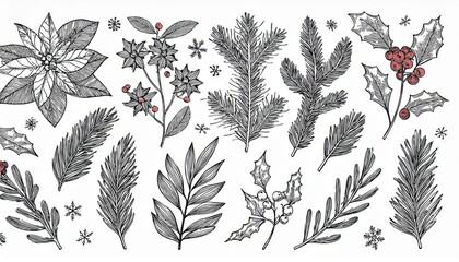 Christmas plant leaf, flower vintage set. Hand drawn doodle sketch holly floral, xmas tree leaves, winter branch elements. Holiday decoration, floral wreath sketch doodle. Vector