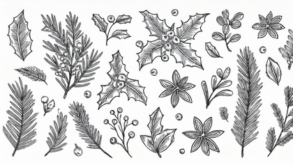 Christmas plant leaf, flower vintage set. Hand drawn doodle sketch holly floral, xmas tree leaves, winter branch elements. Holiday decoration, floral wreath sketch doodle. Vector