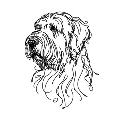 Obraz premium Old English Sheepdog breed Dog Continuous one line drawing, inimalist vector illustration design on white background. Simple line modern graphic style. Hand drawn graphic concept