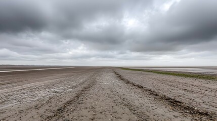 Fototapeta premium Vast Mudflats Under Moody Cloudy Sky at Low Tide