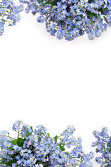 Bouquet of blue flowers forget-me-nots on a white backgroundwith space for text. Top view, flat lay