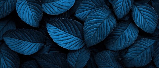 A close up of blue leaves with a blue background