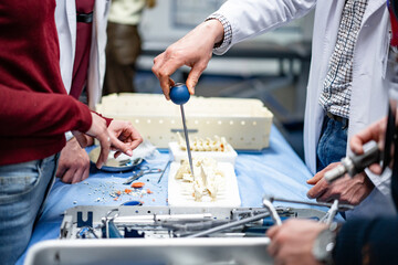 Students use lab tools for experiments. A group of students collaborates on a lab activity,...