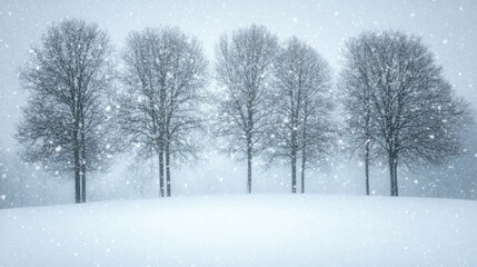 Fototapeta premium Snow swirling through the air during a blizzard, with tall trees barely visible through the thick snowfall.